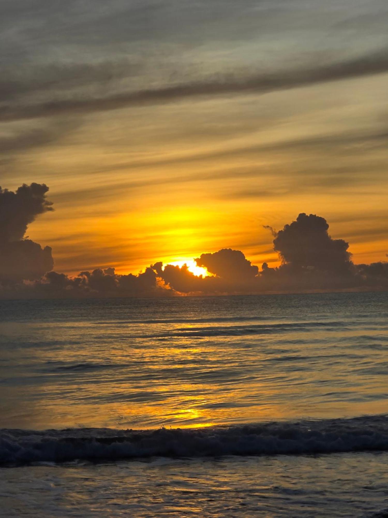 Apartament Casa Kattleya Tortuguero Zewnętrze zdjęcie